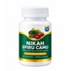 NIKAH SPIRU CAMU